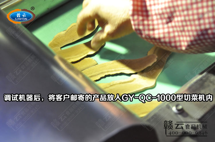 將靈芝片放入切菜機(jī)豎切入口內(nèi)