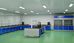 實(shí)心/包心肉丸成型機(jī)