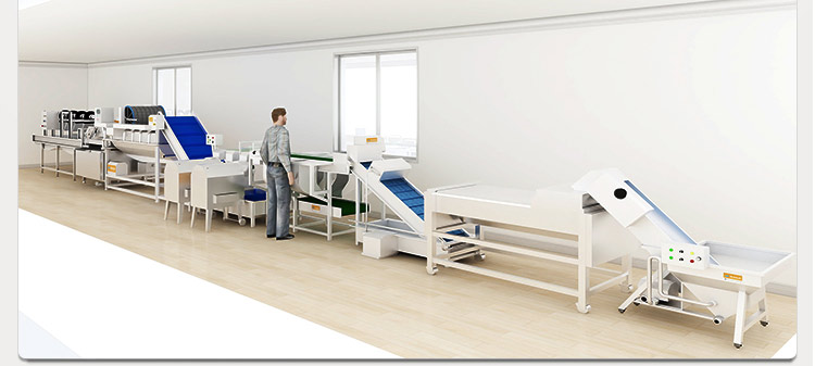 球根莖瓜果類(lèi)菜處理流水線(xiàn)